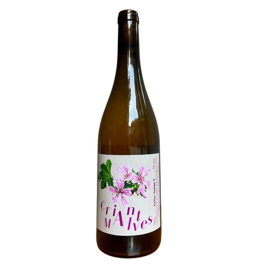 Celler Tomas Torres, Criant Malves