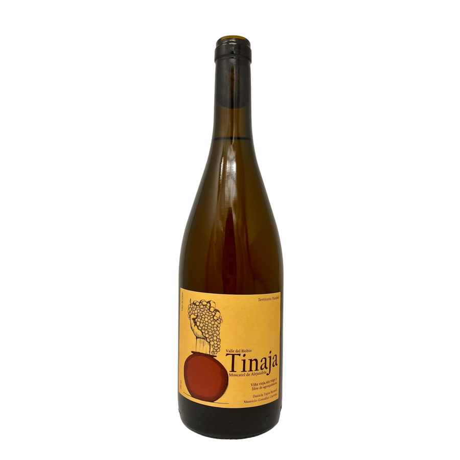 Mauricio Gonzales, Tinaja Moscatel