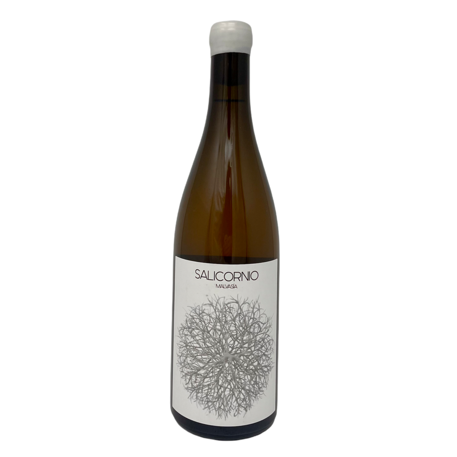 Casa Balaguer, Salicornio Malvasia