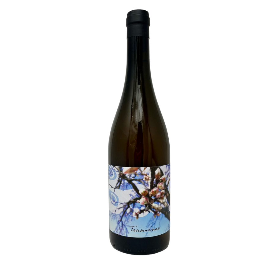 Judith Beck, Traminer
